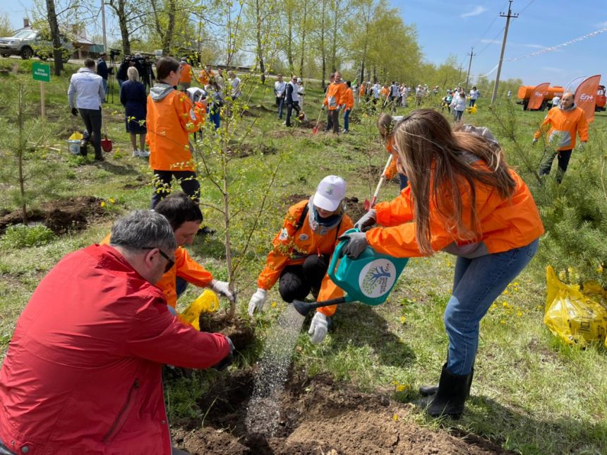 360 деревьев высадили в Боковской протоке в Иркутске в рамках экоакции En+ Group