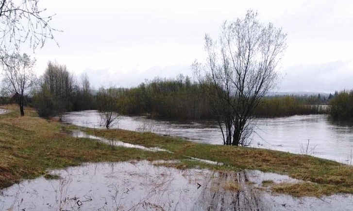 В Тайшетском районе прогнозируют повышение уровня воды в реке Бирюсе выше критической отметки