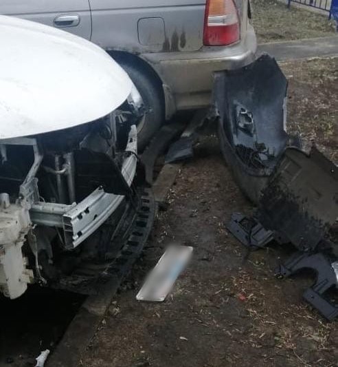 В Иркутске дворовые собаки разобрали бампер иномарки, пытаясь достать кота