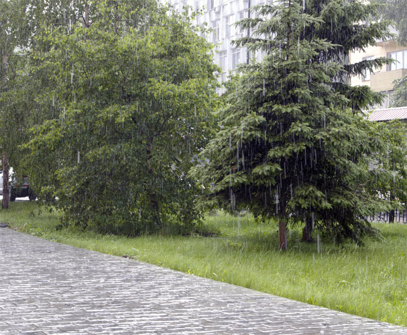 Заморозки, ливневые дожди, грозы ожидаются в Приангарье в ближайшие сутки