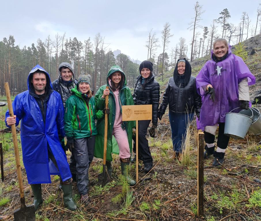 Более 1000 деревьев высадили в районе бухты Песчаная на Байкале