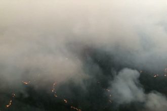 Крупный лесной пожар в Катангском районе локализовали 17 июня