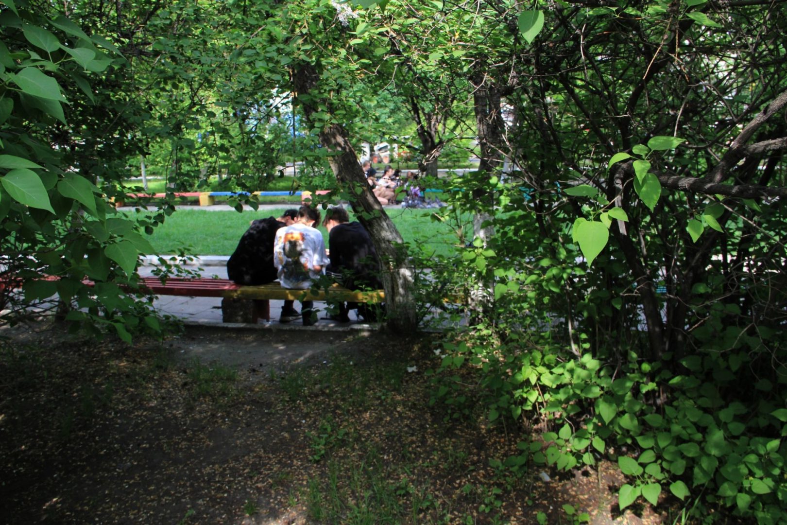 Подростков протестируют на наркотики в летних лагерях Приангарья