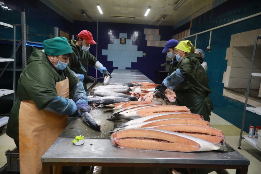 Цех по производству рыбной продукции открыли в Ангарске в рамках нацпроекта