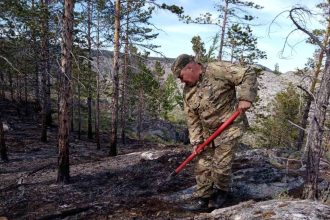 Участок леса сгорел в Ольхонском районе на территории нацпарка