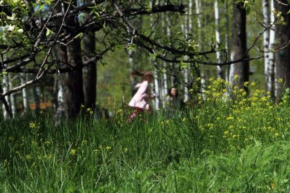 За май клещи укусили 2745 жителей Приангарья. Всего - 4073 случая