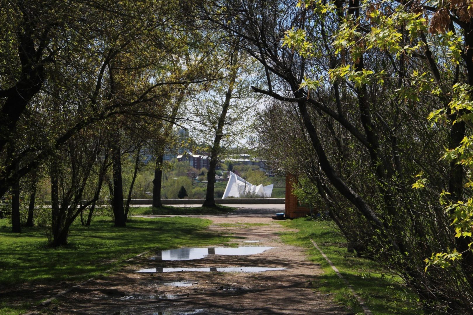 За сутки от коронавируса скончались еще 14 жителей Приангарья