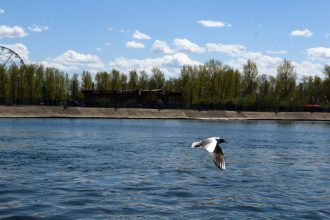 Жару и грозы прогнозируют в Приангарье на выходные, 5-6 июня