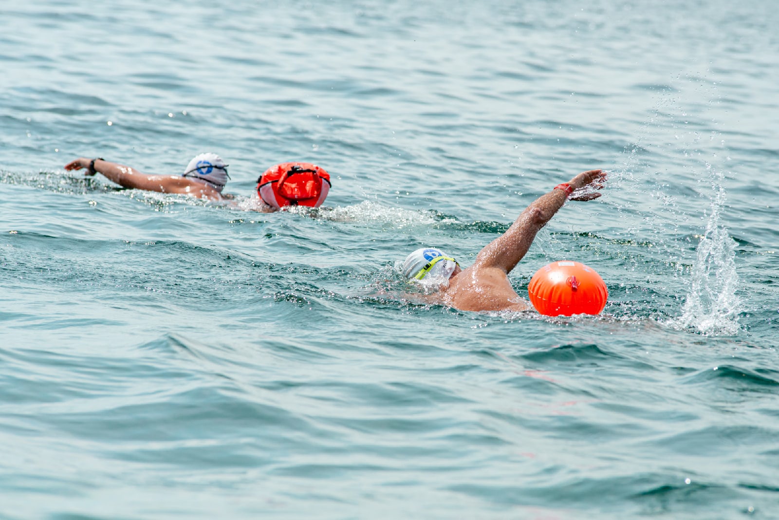 Заплыв. Трансбайкальский экологический заплыв Baikal great Swim. Переплыть Байкал. Заплыв на Байкале 2021. Заплыв Байкал 2021 Тимошенко.