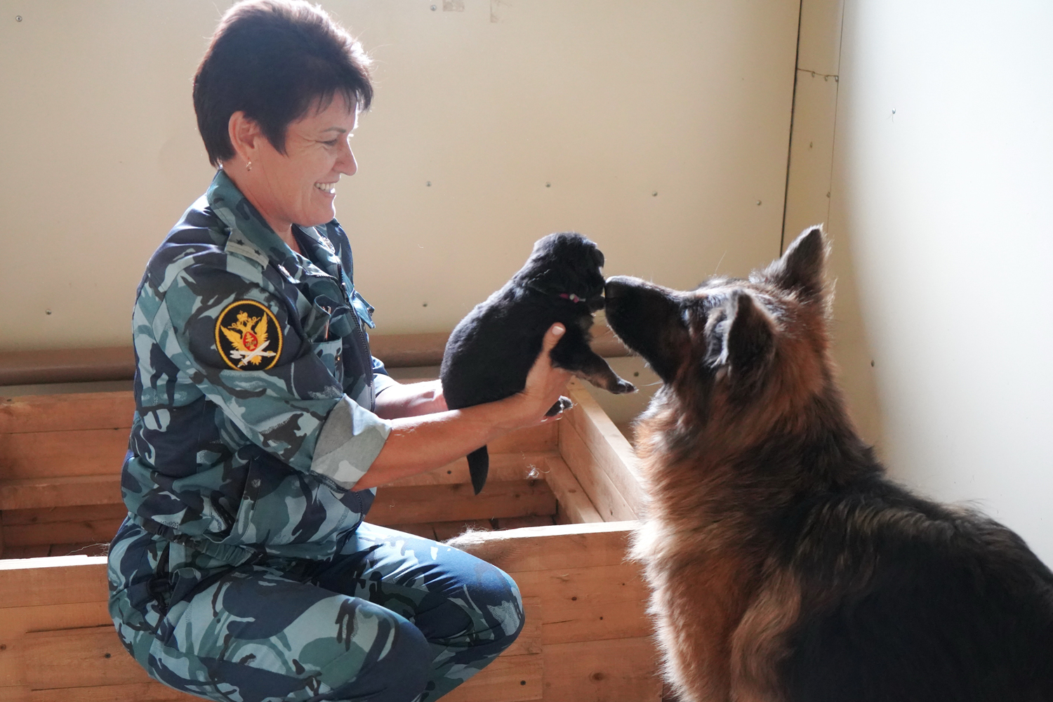 Девять щенков готовят к службе в племенном питомнике ГУФСИН в Иркутске