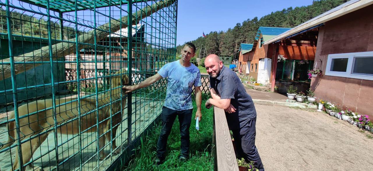 Госпиталь для бездомных животных откроют в Иркутске 16 июля