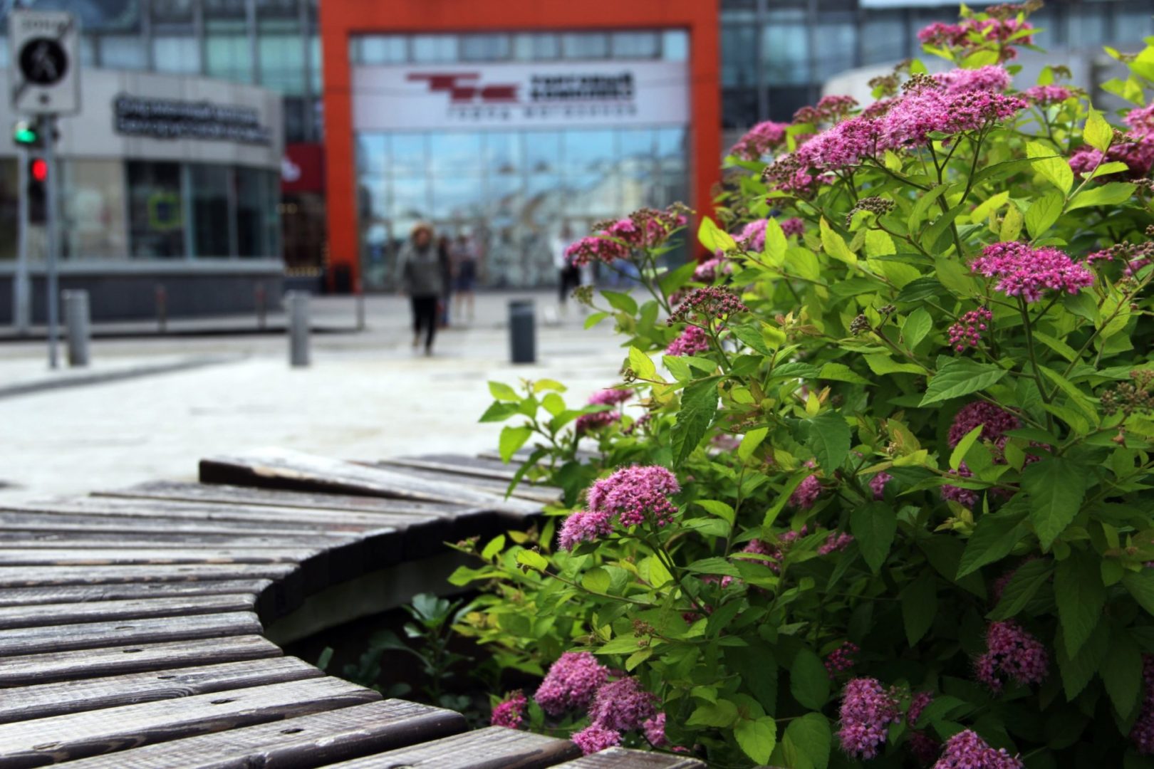 Преимущественно ясные дни прогнозируют синоптики на неделе в Иркутске