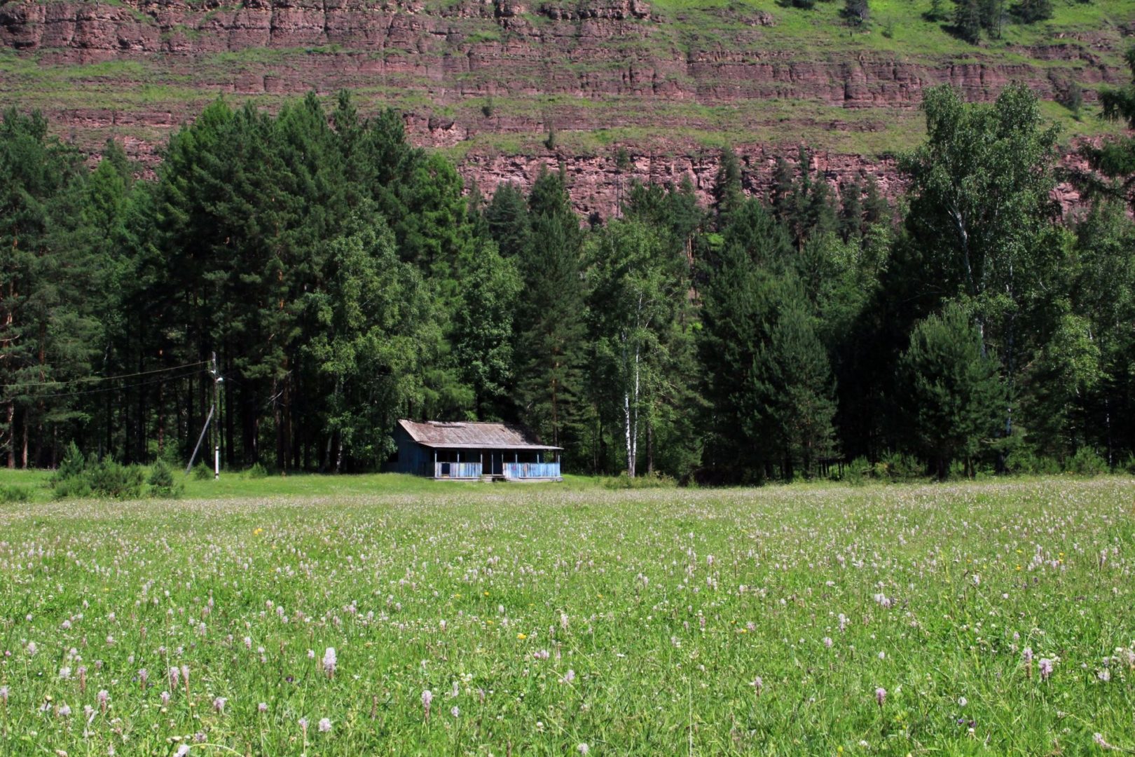 Цветы и скалы летней Шаманки. Фоторепортаж