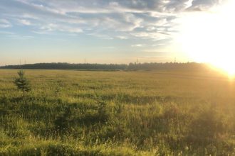 В двух районах Прианграья ликвидированы последние бесхозяйные скотомогильники