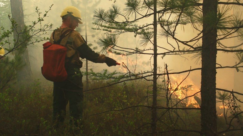 Два новых возгорания в Жигаловском и Усть-Илимском районах ликвидировали в Приангарье