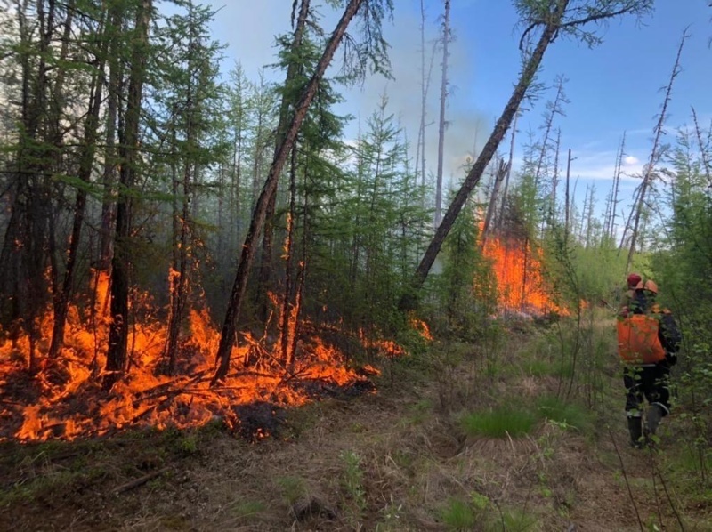 Масштабные пожары в Якутии. Главное на сегодня