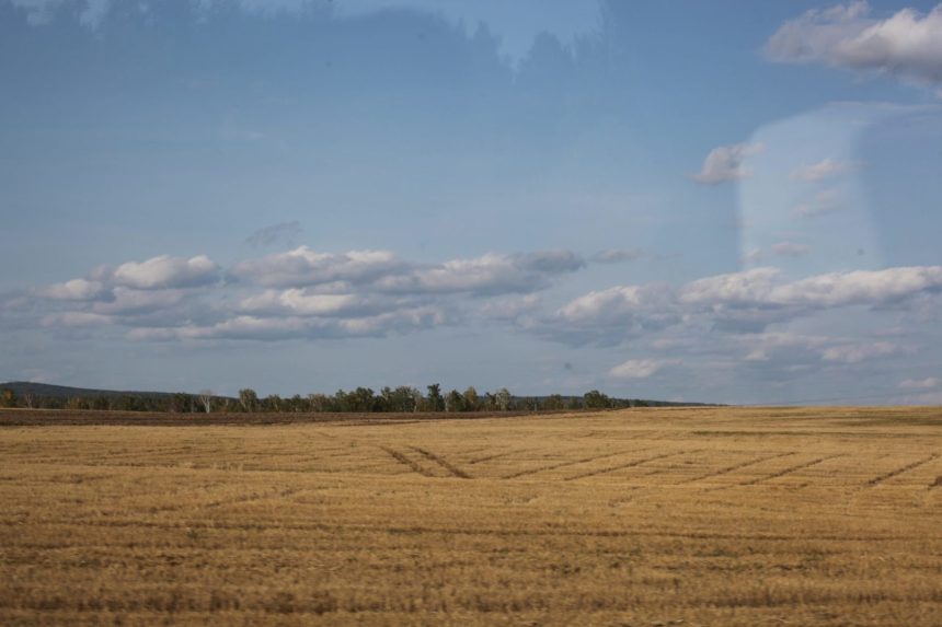 Минсельхоз РФ и Ozon развивают каналы сбыта фермерской продукции