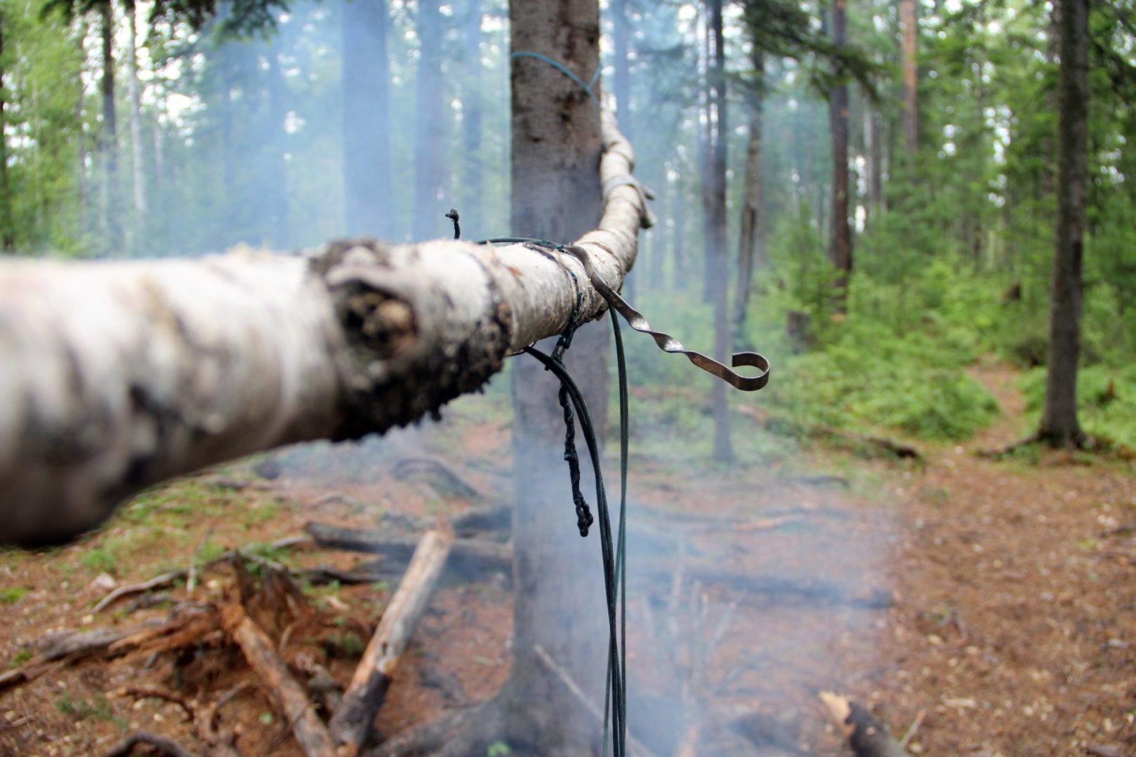 Почти 4 млн рублей заплатили жители Приангарья за нарушение противопожарного режима