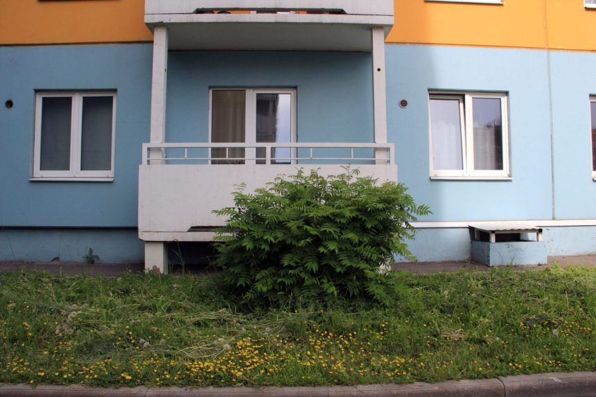 Программу семейной ипотеки в России продлили до 2024 года