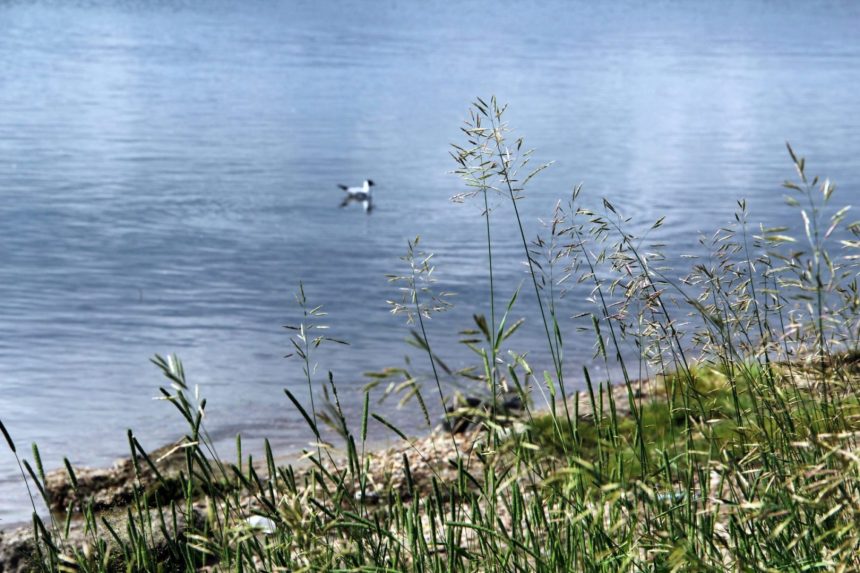 Шесть детей и 34 взрослых утонули на водоемах Иркутской области с начала лета