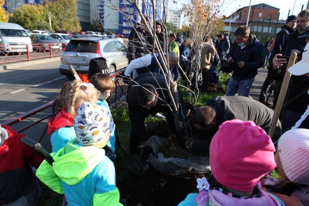 Аллею из 200 деревьев высадили на улице Мелентьева в Иркутске