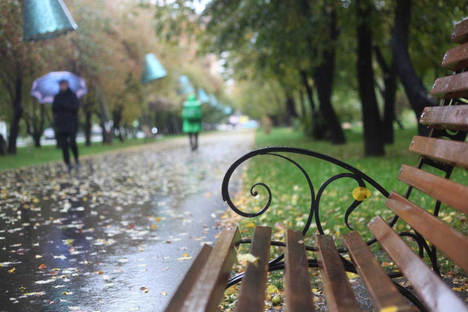 Дождь и мокрый снег ожидаются в Приангарье 29-30 сентября