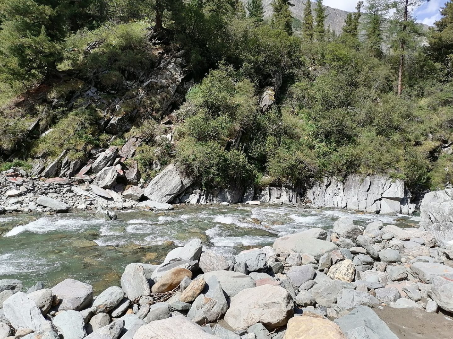 Экологическую реабилитацию рек Приангарья хотят включить в новый федеральный проект