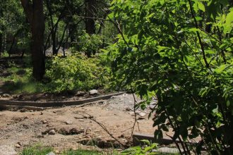 Новые прогулочные дорожки в дендропарке Академгородка в Иркутске в этом году сделать не успеют