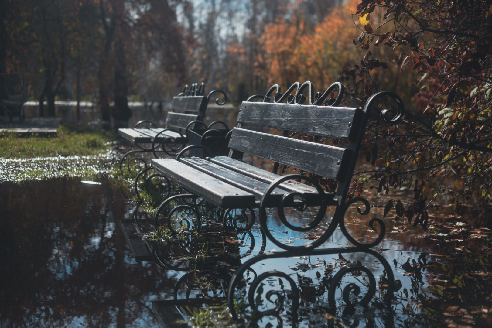 Осень в Иркутске сегодня