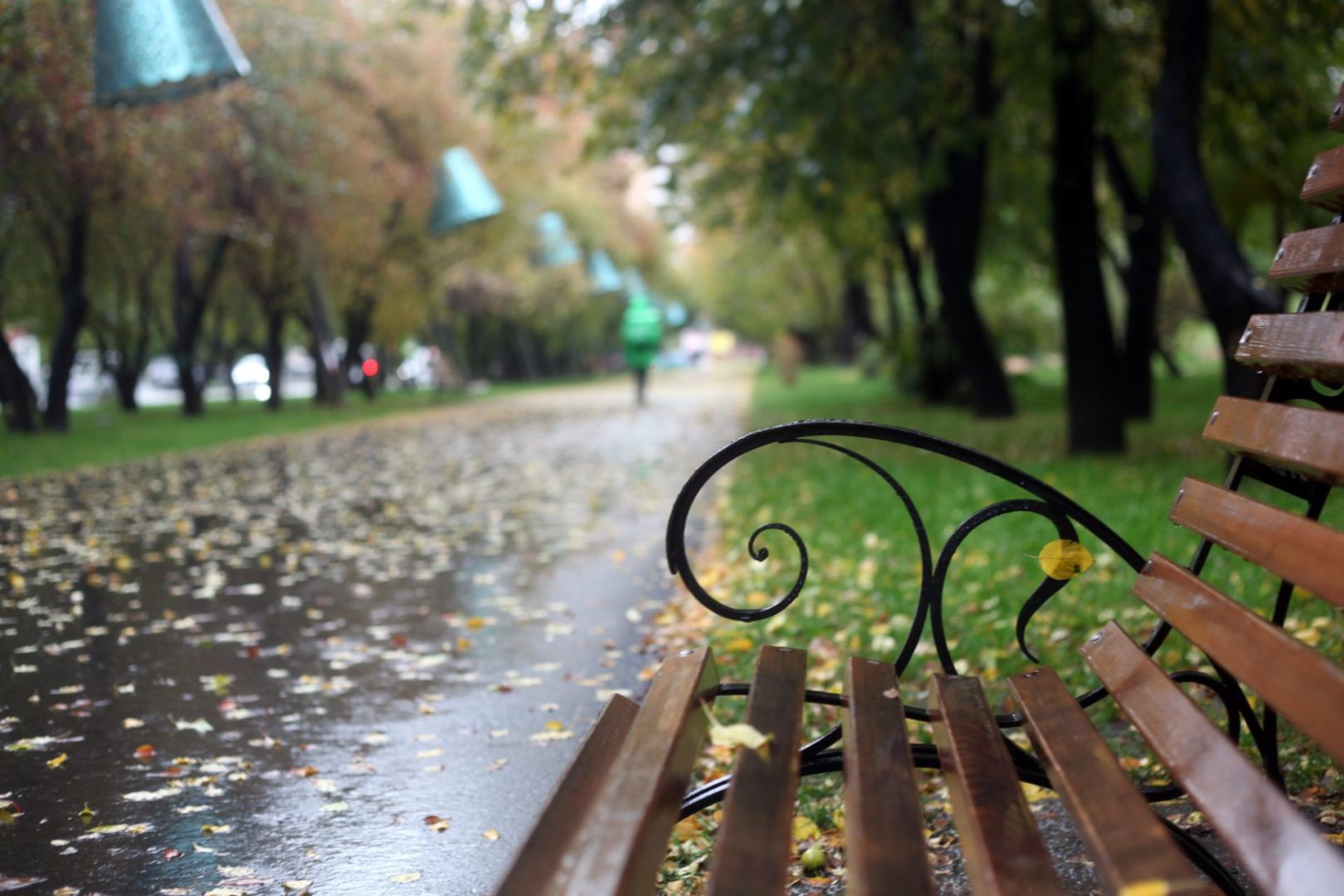 Осень в Иркутске сегодня