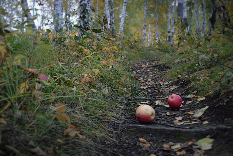 Осенний Иркутск Фото