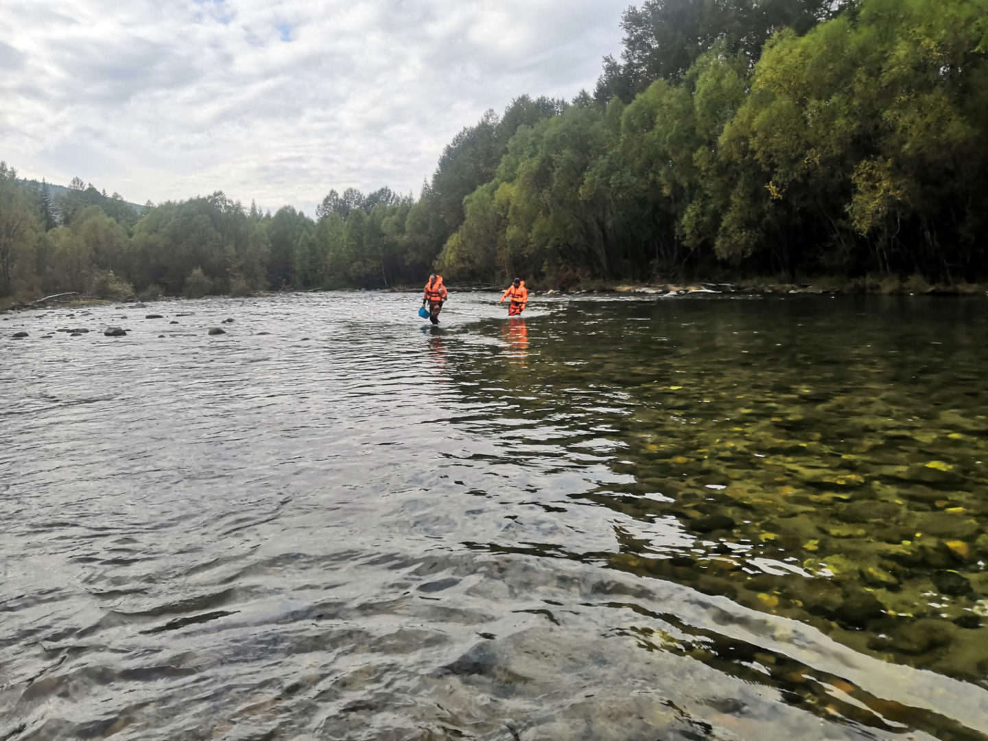 Сборщик дикоросов утонул в Слюдянском районе при переходе реки вброд