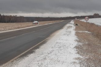 Две коровы погибли в ДТП с участием междугороднего автобуса в Тулунском районе