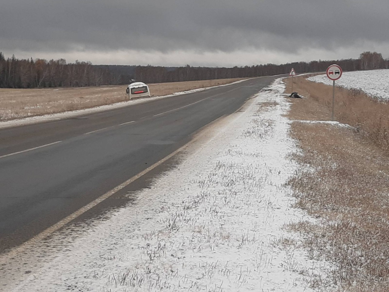 Две коровы погибли в ДТП с участием междугороднего автобуса в Тулунском районе