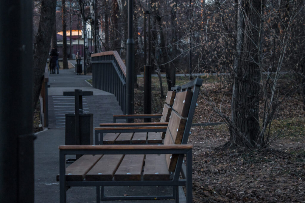 Как преобразилась Каштаковская роща в Иркутске. Фоторепортаж