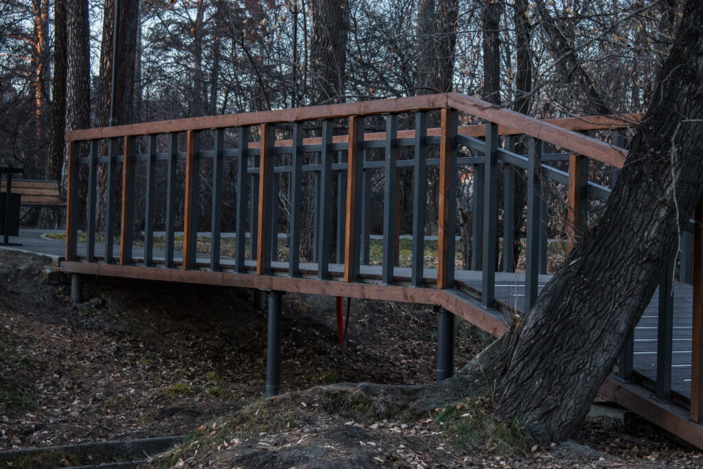 Как преобразилась Каштаковская роща в Иркутске. Фоторепортаж