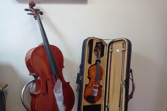 Новые скрипки и виолончели купили для музыкальных школ Иркутской области