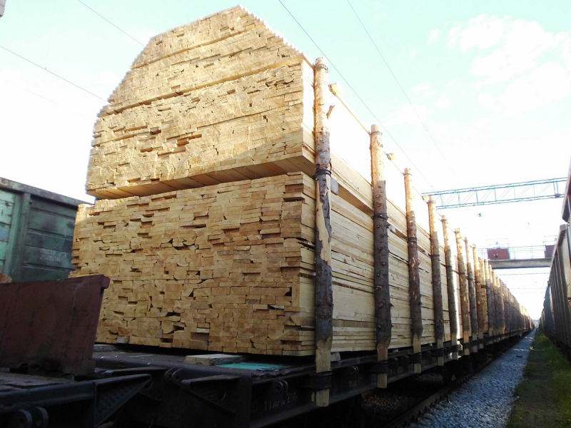 ОПГ из Иркутской области осудят за контрабанду лесоматериалов на 681 млн рублей