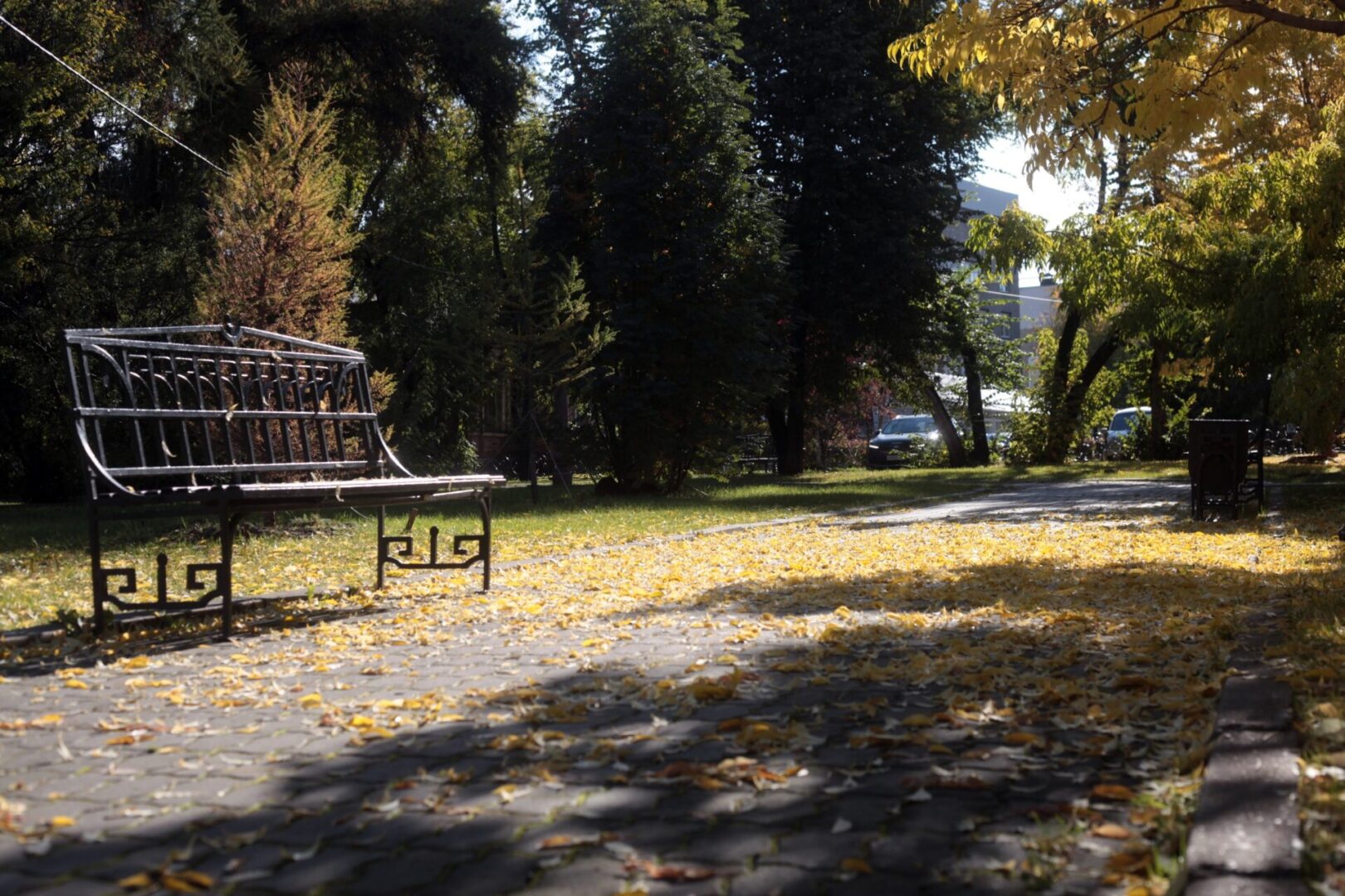 В Иркутской области выявили новый максимум заражений коронавирусом за сутки