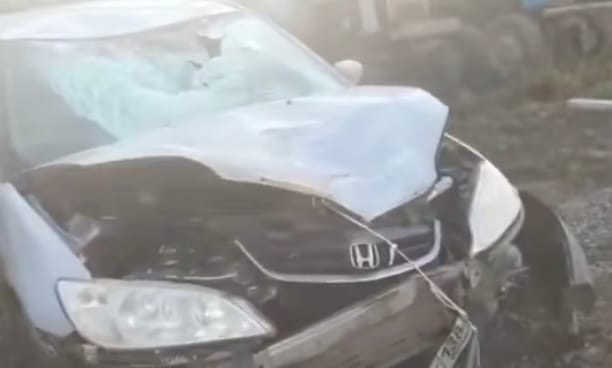 Водитель Honda насмерть сбил 47-летнюю женщину в районе посёлка Залари