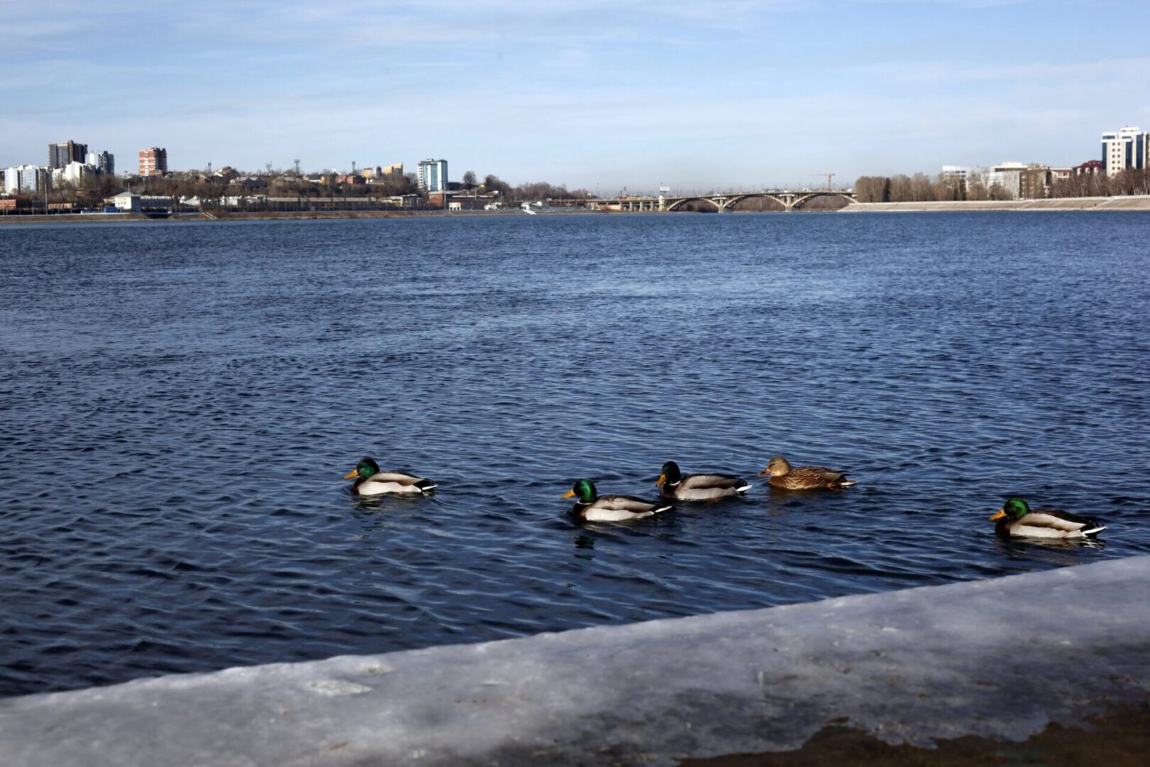 573 случая коронавируса выявили в Иркутской области за сутки