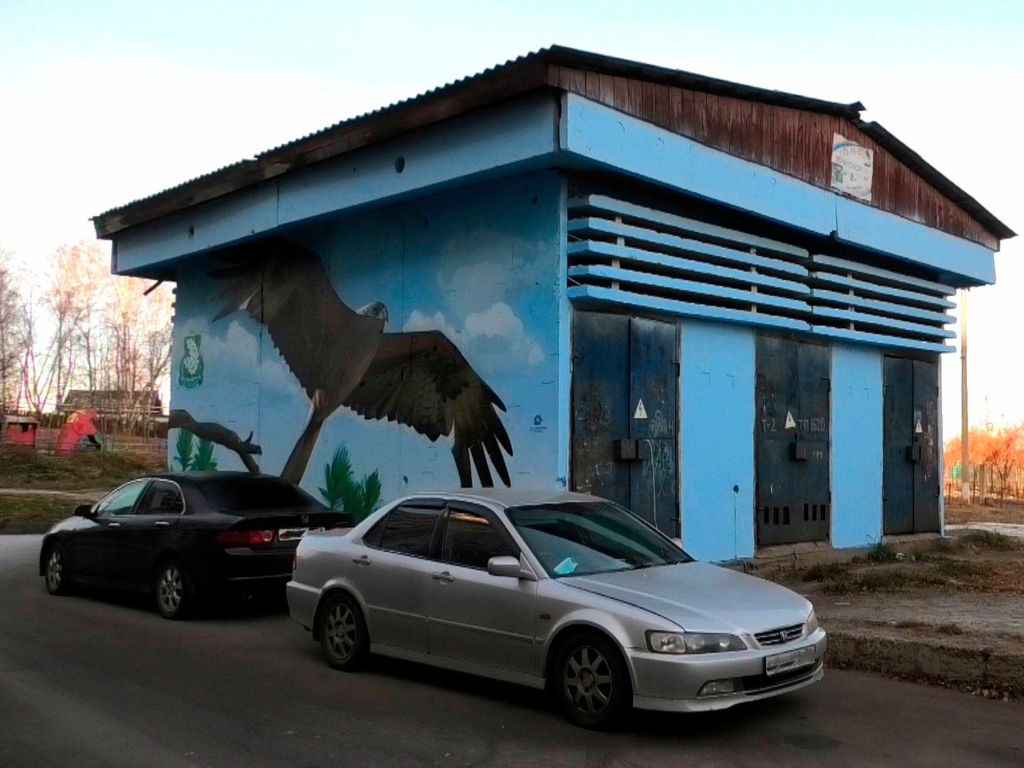 Граффити с птицами украсило трансформаторную подстанцию в Первомайском в Иркутске