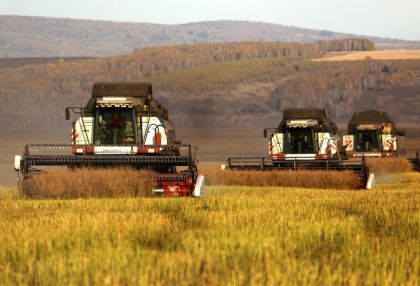 Кузьма Алдаров: Сельское хозяйство Приангарья поддержат 330-ю миллионами рублей