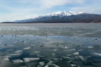 Нерпы греются на солнце на первых льдинах Байкала