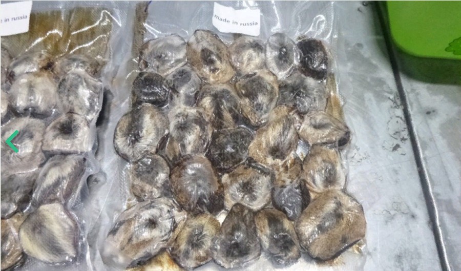 Партию мускусных желез кабарги на 9 млн рублей, пытались вывезти из Иркутска в Корею 