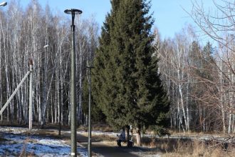 В Иркутске завершен первый этап благоустройства Дендропарка в Академгородке