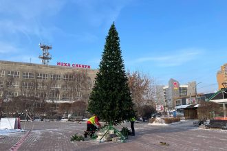 16 новых искусственных елей установят к Новому году в округах Иркутска