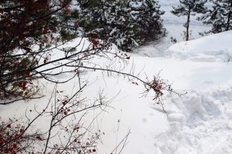 Где в Сибири самый грязный снег и почему это один из лучших индикаторов загрязнения среды