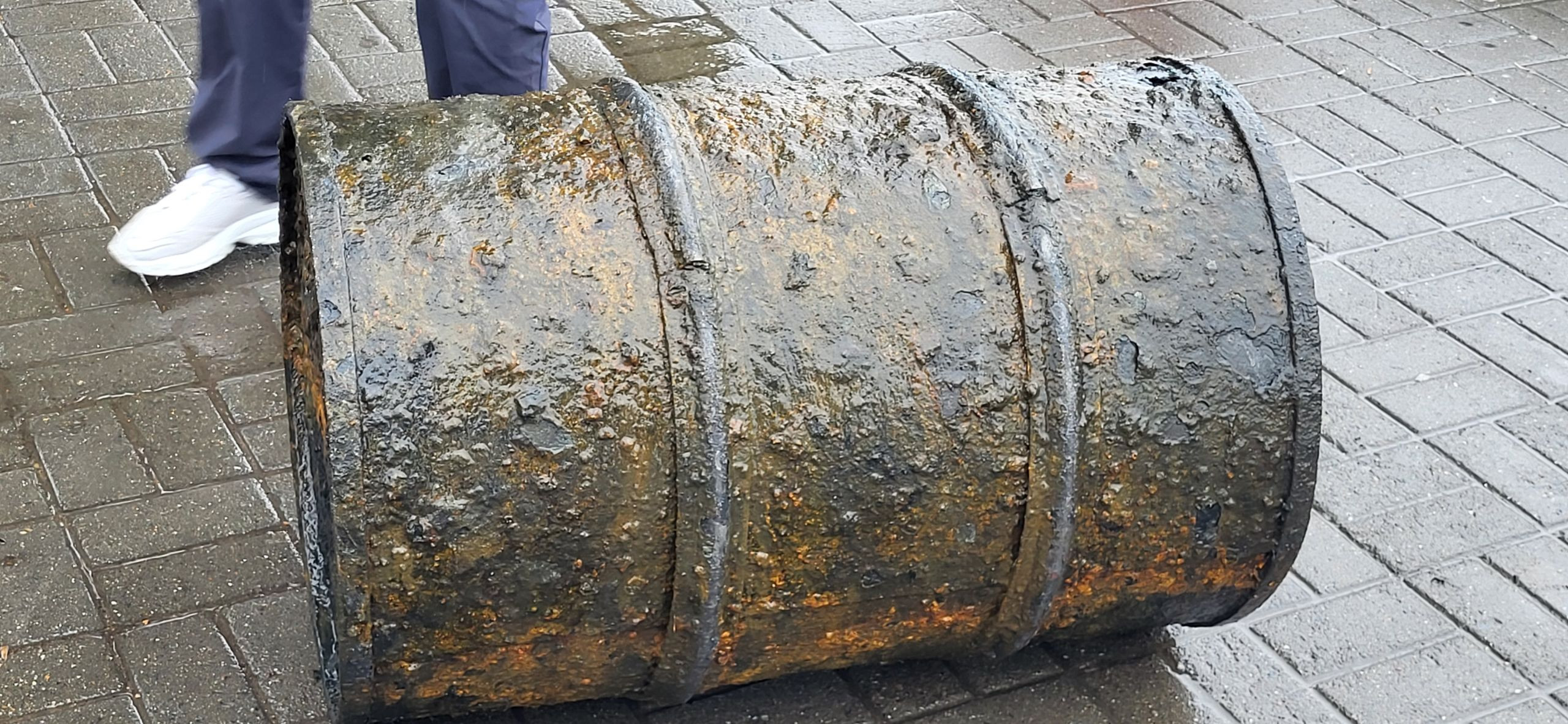 Большой налим поселился в бочке в реке Ангаре в Иркутске