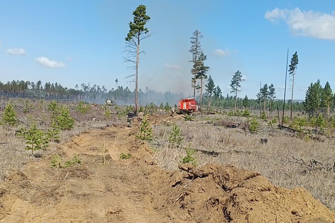 22 лесных пожара потушили в Иркутской области за выходные, 18-19 мая